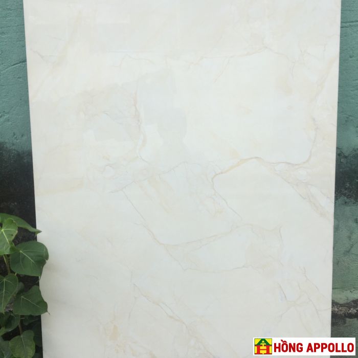 Gạch ốp tường 80x1.2m K25081207456VA